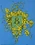 Beauxbatons Crest