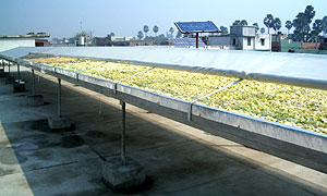 Solar tunnel dryer 2