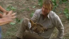 Chicken.jpg