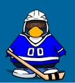 Robbsi, Hokey Player