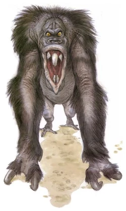 Veermok.jpg