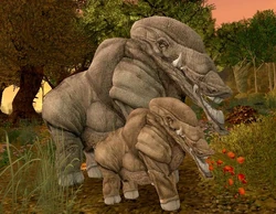 Female gronda
