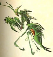 Mantis.JPG