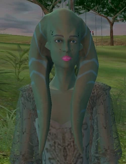 Rinto.jpg