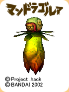 Mandragora