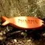 Mini-fish biscuit.jpg
