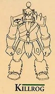 KillrogWCA