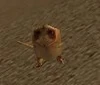 Iccspleet.jpg