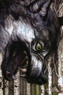 Fables 49