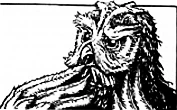 Ovus.jpg
