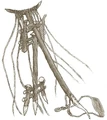 Thumbnail for version as of 04:27, April 27, 2007