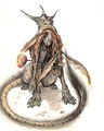 Anooba.jpg