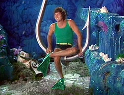 Flippers.macdavis