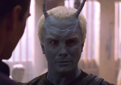 Shran