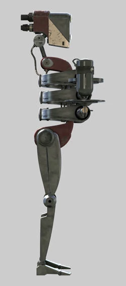 COO-2180.JPG