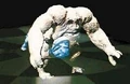 Strider.jpg
