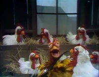 Song.cockadoodleblues.jpg