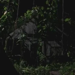 3x20 Jacobs House.JPG