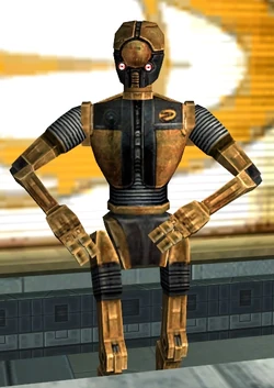 B4-D4.jpg