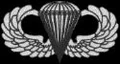 ParachuteBadge.jpg