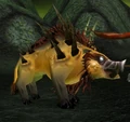 Domefelboar.JPG