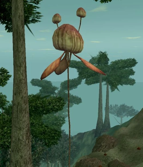 Kite plant Wookieepedia, the Star Wars Wiki