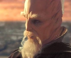Ki-Adi-Mundi council.jpg