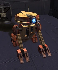 IT-31.jpg