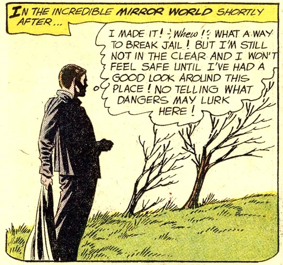 Mirror World DC Comics Database