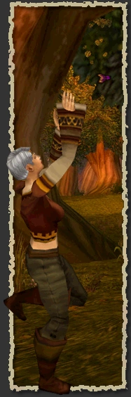 Csilla-01.png