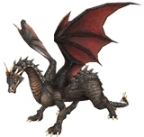 Wyrm.jpg