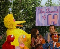 4115j.jpg