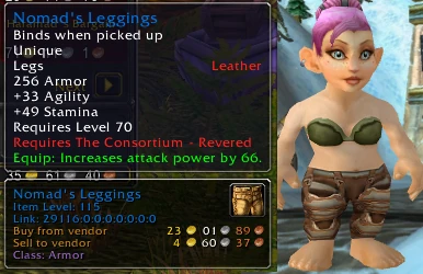 Nomad's leggings.jpg
