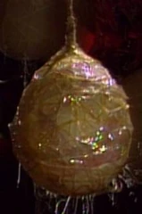 Pupa