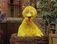 Ewbirds-bigbird