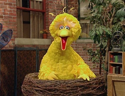 Ewbirds-bigbird