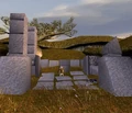 Ancientgrove.jpg