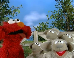 Ewdogs-sheep