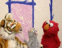 Ewcats-interview.jpg