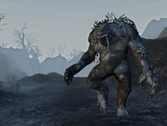 Frostswamp 5