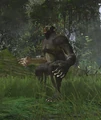 APEKATT.jpg