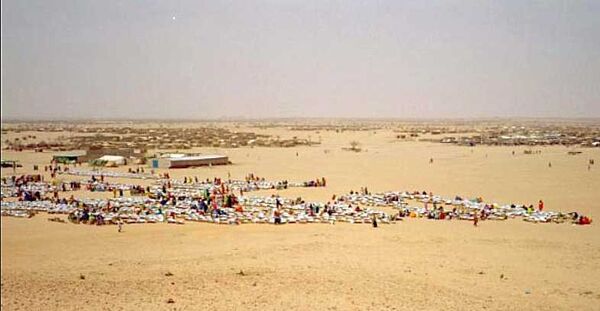 Iridimi cookers 2007