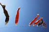 Carp streamer