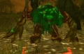 Molt Thorn.jpg