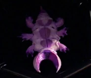 Parasite-topview