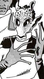 Kebbo