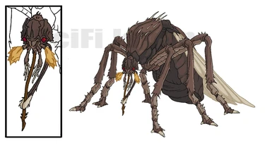 Skeetera