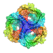 Sucrose specific porin 1A0S