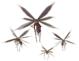 Vespoid