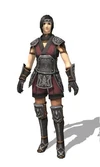 Monk Relic Armor